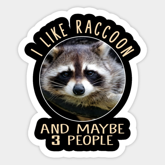 Enigmatic Elegance Raccoon Merchandise Sticker by BoazBerendse insect